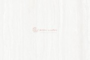 Gạch Ốp Lát APODIO 61181023